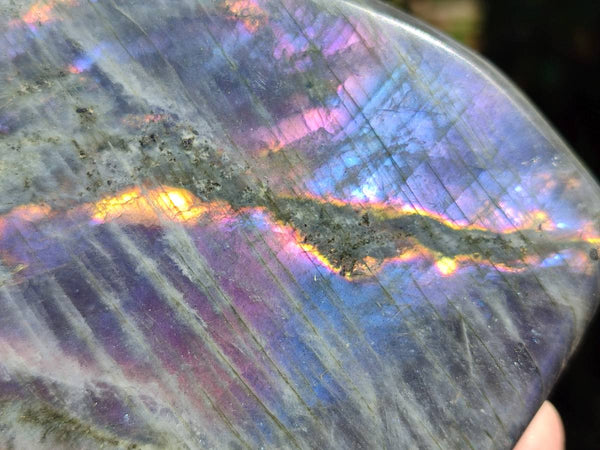 Polished Purple Flash Labradorite Standing Free Forms x 2 From Tulear, Madagascar