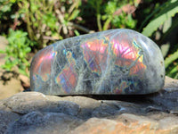 Polished Purple Flash Labradorite Standing Free Forms x 2 From Tulear, Madagascar