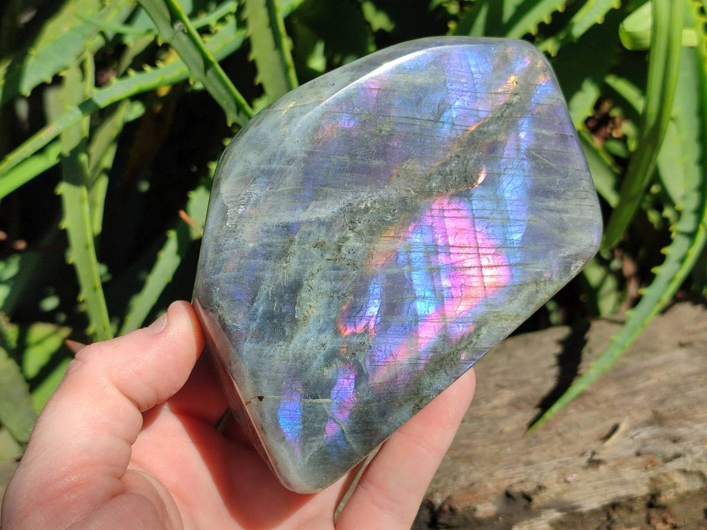 Polished Purple Flash Labradorite Standing Free Forms x 2 From Tulear, Madagascar - Toprock Gemstones and Minerals 
