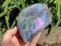 Polished Purple Flash Labradorite Standing Free Forms x 2 From Tulear, Madagascar