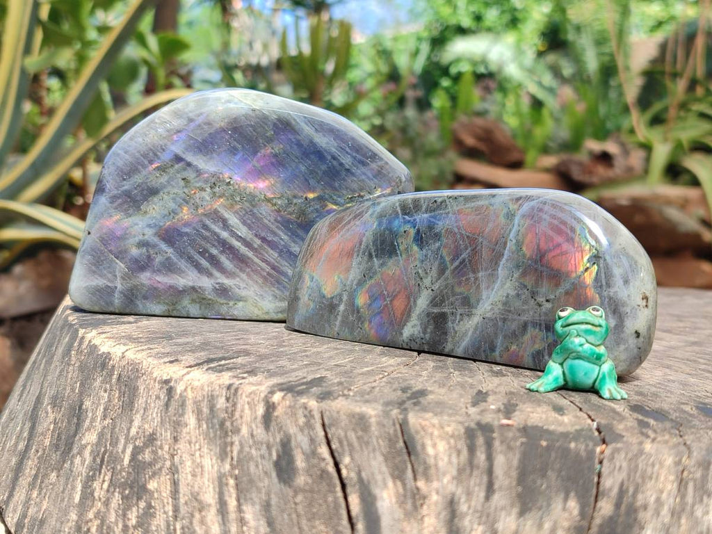 Polished Purple Flash Labradorite Standing Free Forms x 2 From Tulear, Madagascar - Toprock Gemstones and Minerals 
