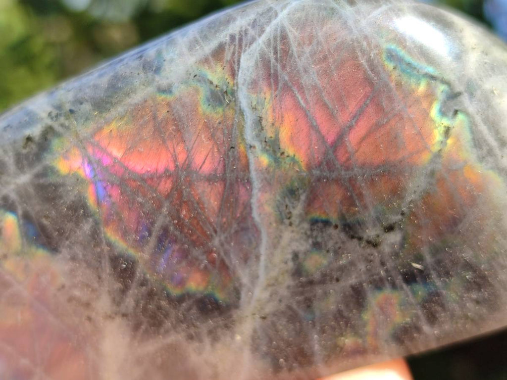 Polished Purple Flash Labradorite Standing Free Forms x 2 From Tulear, Madagascar - Toprock Gemstones and Minerals 