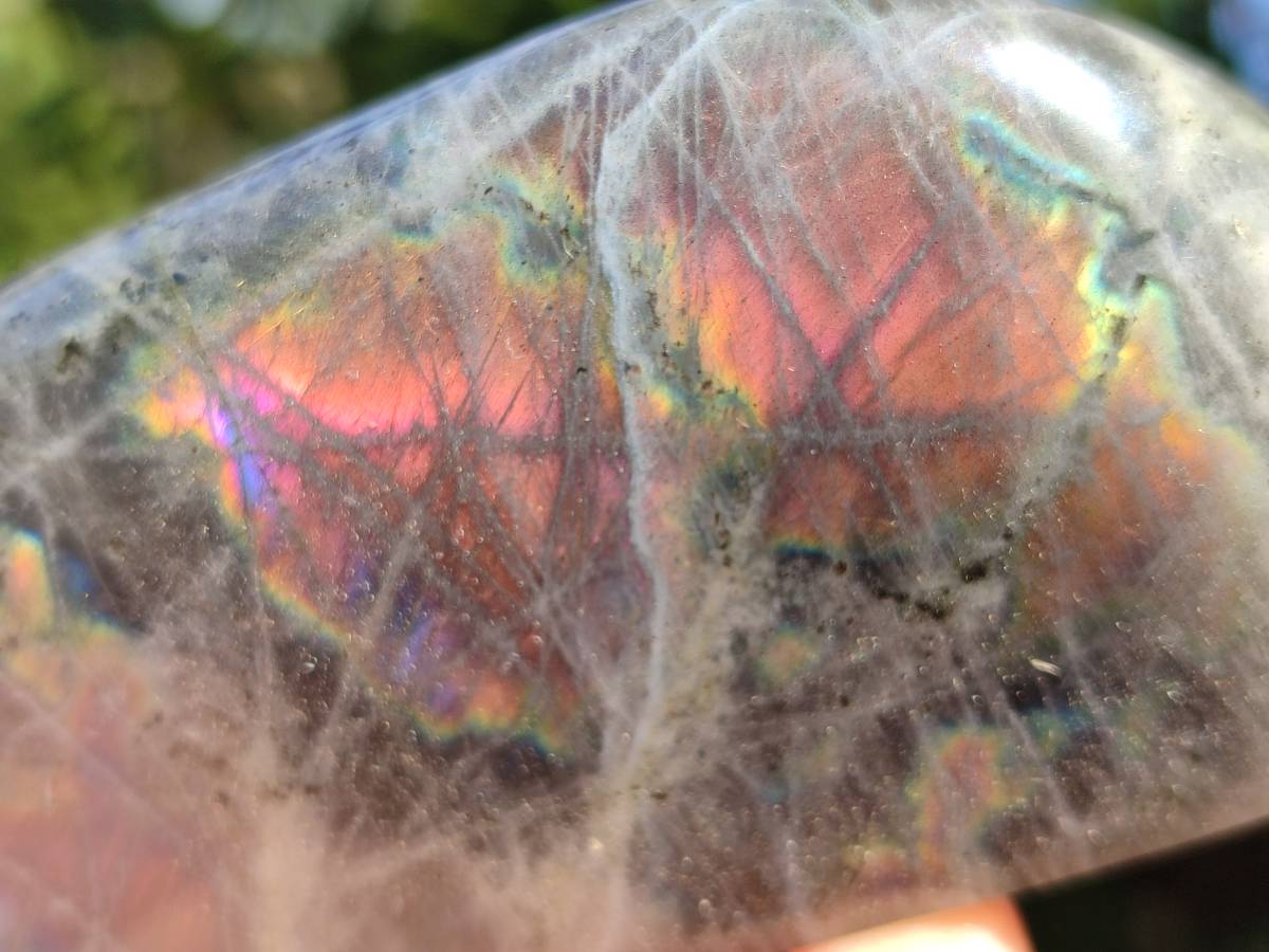 Polished Purple Flash Labradorite Standing Free Forms x 2 From Tulear, Madagascar - Toprock Gemstones and Minerals 