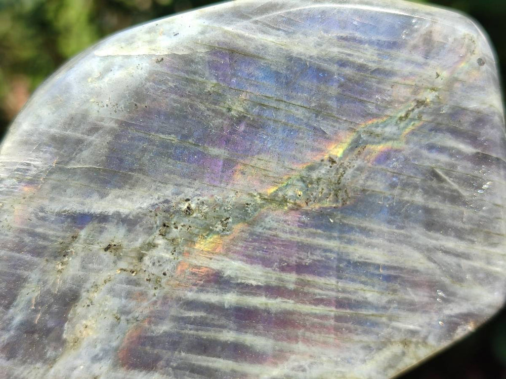 Polished Purple Flash Labradorite Standing Free Forms x 2 From Tulear, Madagascar - Toprock Gemstones and Minerals 