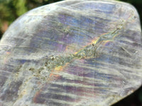 Polished Purple Flash Labradorite Standing Free Forms x 2 From Tulear, Madagascar
