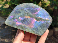 Polished Purple Flash Labradorite Standing Free Forms x 2 From Tulear, Madagascar