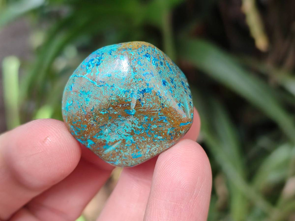 Polished Shattuckite Free Forms x 35 From Congo - Toprock Gemstones and Minerals 