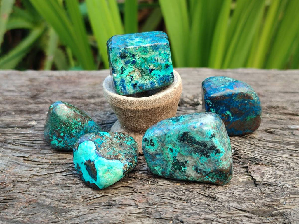 Polished Shattuckite Free Forms x 35 From Congo - Toprock Gemstones and Minerals 