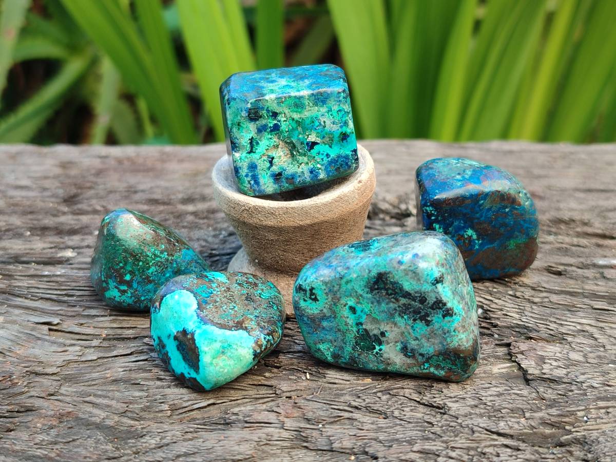 Polished Shattuckite Free Forms x 35 From Congo - Toprock Gemstones and Minerals 