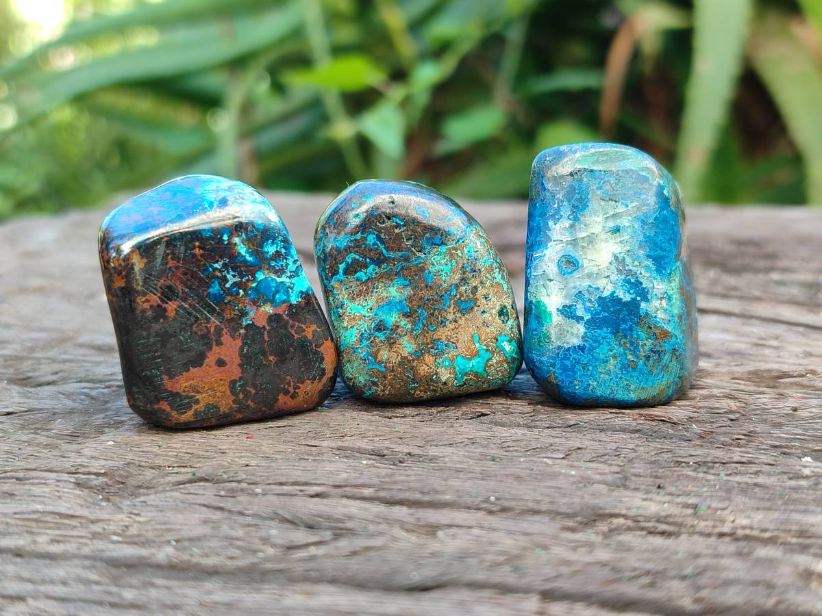 Polished Shattuckite Free Forms x 35 From Congo - Toprock Gemstones and Minerals 