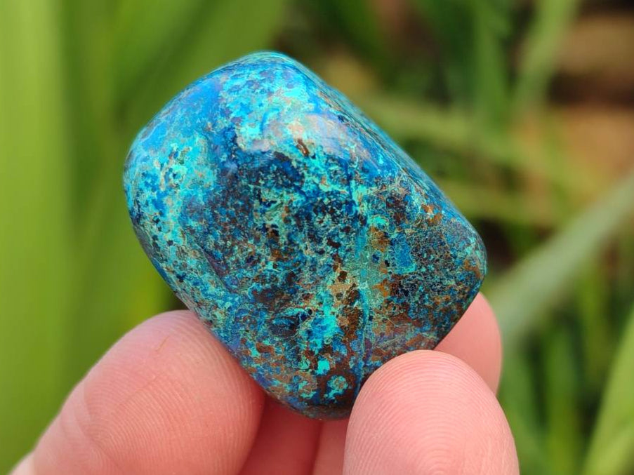 Polished Shattuckite Free Forms x 35 From Congo - Toprock Gemstones and Minerals 
