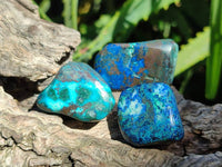 Polished Shattuckite Free Forms x 35 From Congo