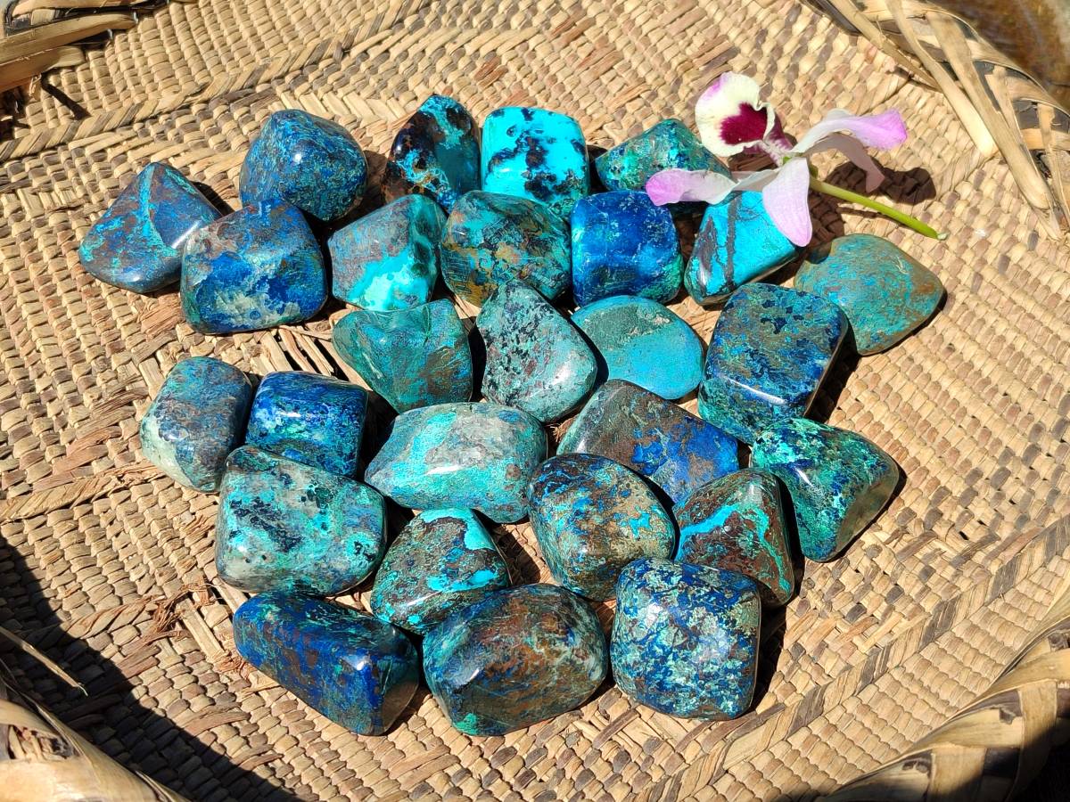 Polished Shattuckite Free Forms x 35 From Congo - Toprock Gemstones and Minerals 