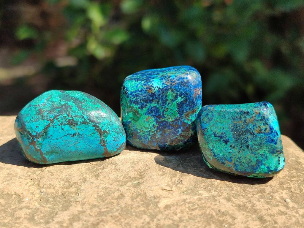 Polished Shattuckite Free Forms x 35 From Congo - Toprock Gemstones and Minerals 