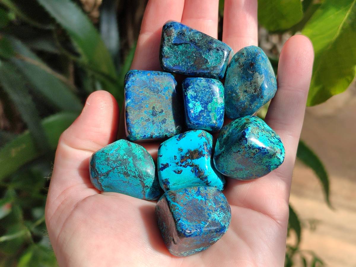 Polished Shattuckite Free Forms x 35 From Congo - Toprock Gemstones and Minerals 