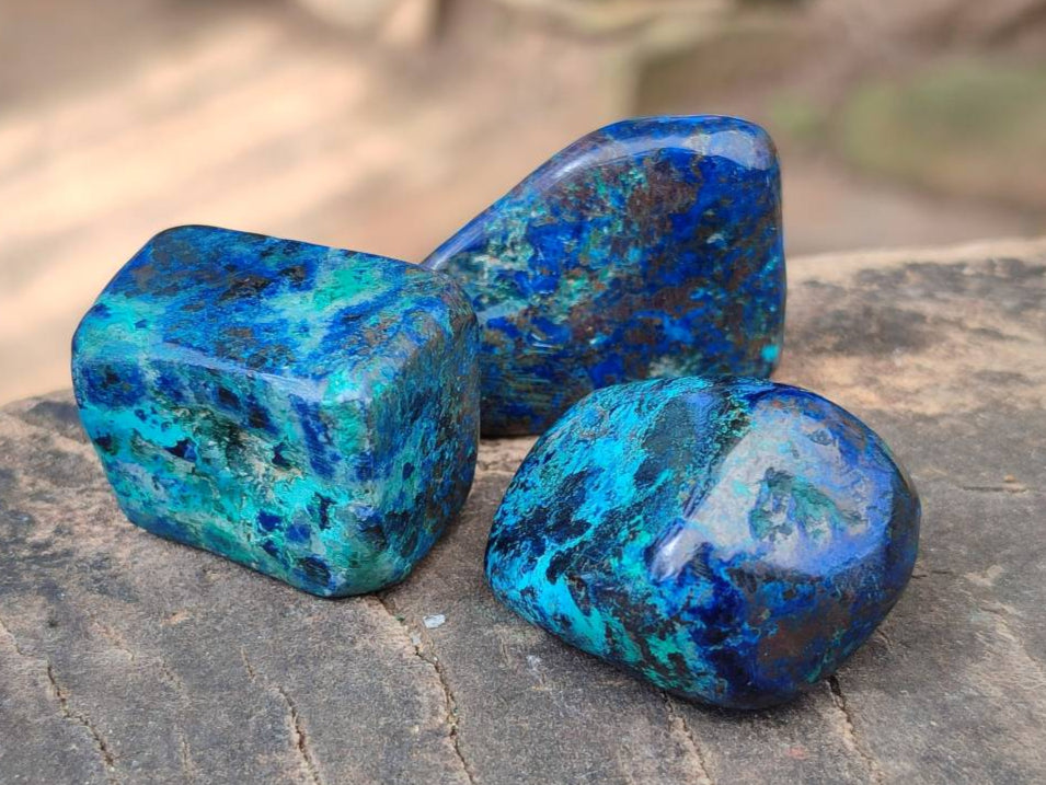 Polished Shattuckite Free Forms x 35 From Congo - Toprock Gemstones and Minerals 