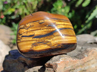 Polished Golden Tiger's Eye with Banded Tiger Iron Free Forms x 5 From Prieska, Northern Cape, South Africa