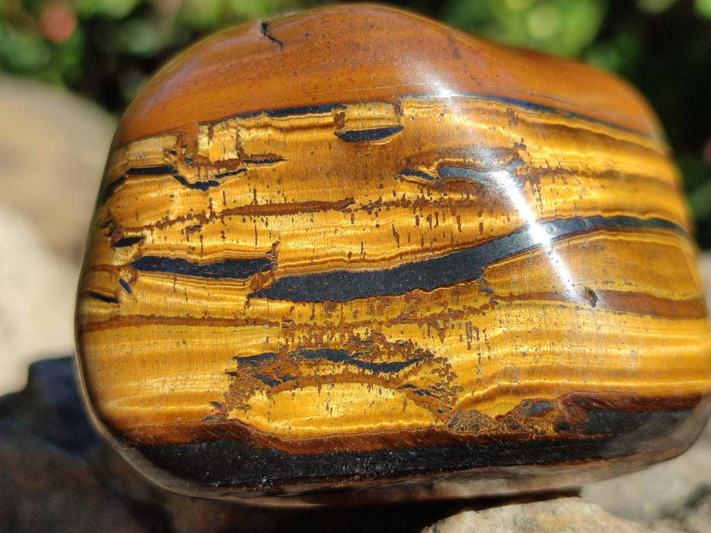 Polished Golden Tiger's Eye with Banded Tiger Iron Free Forms x 5 From Prieska, Northern Cape, South Africa - Toprock Gemstones and Minerals 