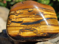 Polished Golden Tiger's Eye with Banded Tiger Iron Free Forms x 5 From Prieska, Northern Cape, South Africa