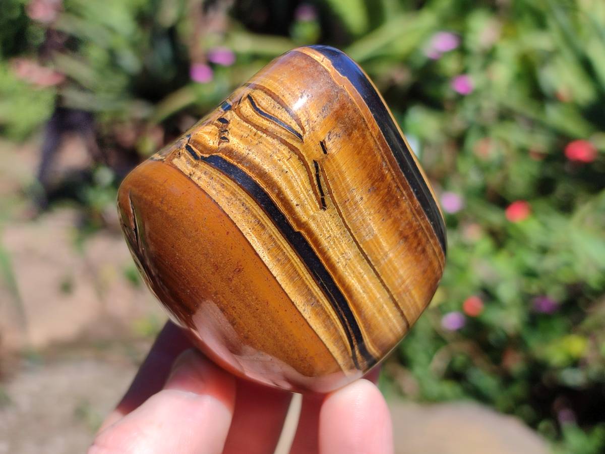 Polished Golden Tiger's Eye with Banded Tiger Iron Free Forms x 5 From Prieska, Northern Cape, South Africa - Toprock Gemstones and Minerals 