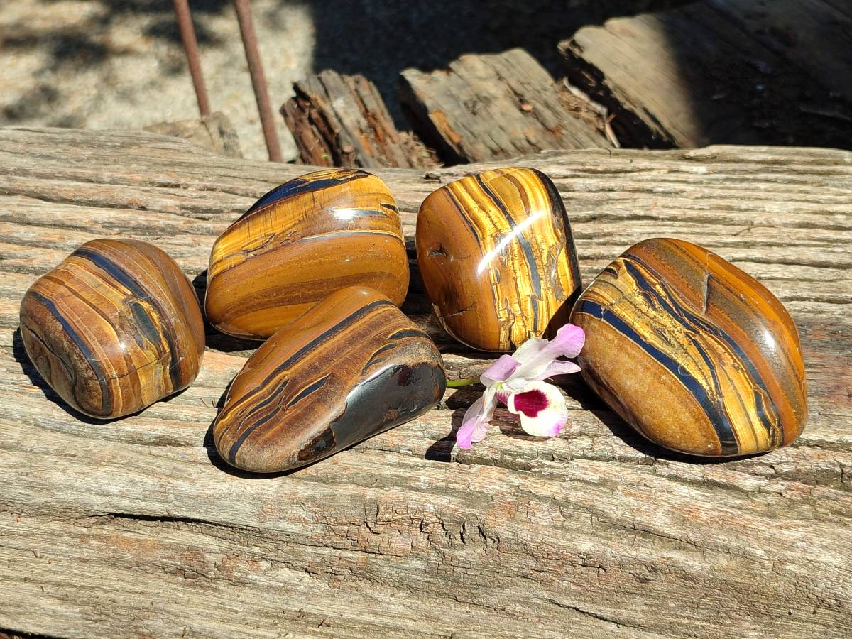 Polished Golden Tiger's Eye with Banded Tiger Iron Free Forms x 5 From Prieska, Northern Cape, South Africa - Toprock Gemstones and Minerals 