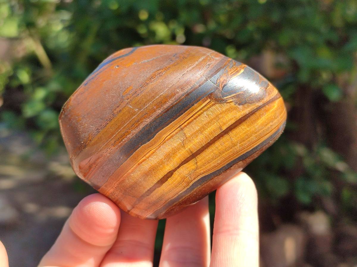 Polished Golden Tiger's Eye with Banded Tiger Iron Free Forms x 5 From Prieska, Northern Cape, South Africa - Toprock Gemstones and Minerals 