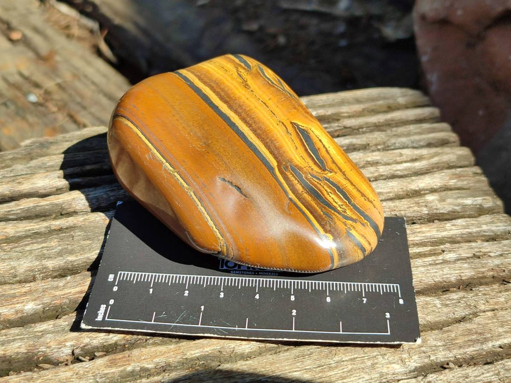 Polished Golden Tiger's Eye with Banded Tiger Iron Free Forms x 5 From Prieska, Northern Cape, South Africa - Toprock Gemstones and Minerals 