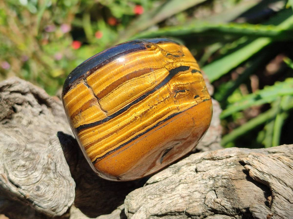 Polished Golden Tiger's Eye with Banded Tiger Iron Free Forms x 5 From Prieska, Northern Cape, South Africa - Toprock Gemstones and Minerals 