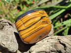 Polished Golden Tiger's Eye with Banded Tiger Iron Free Forms x 5 From Prieska, Northern Cape, South Africa - Toprock Gemstones and Minerals 