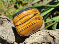 Polished Golden Tiger's Eye with Banded Tiger Iron Free Forms x 5 From Prieska, Northern Cape, South Africa