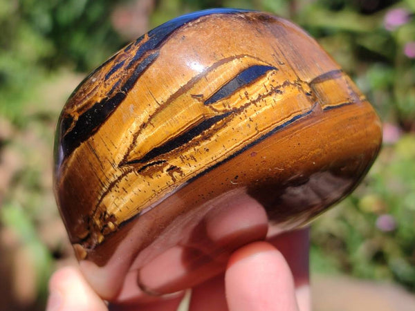 Polished Golden Tiger's Eye with Banded Tiger Iron Free Forms x 5 From Prieska, Northern Cape, South Africa