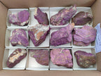 Natural Selected Rough Purpurite Specimens x 12 From Erongo, Namibia - Toprock Gemstones and Minerals 