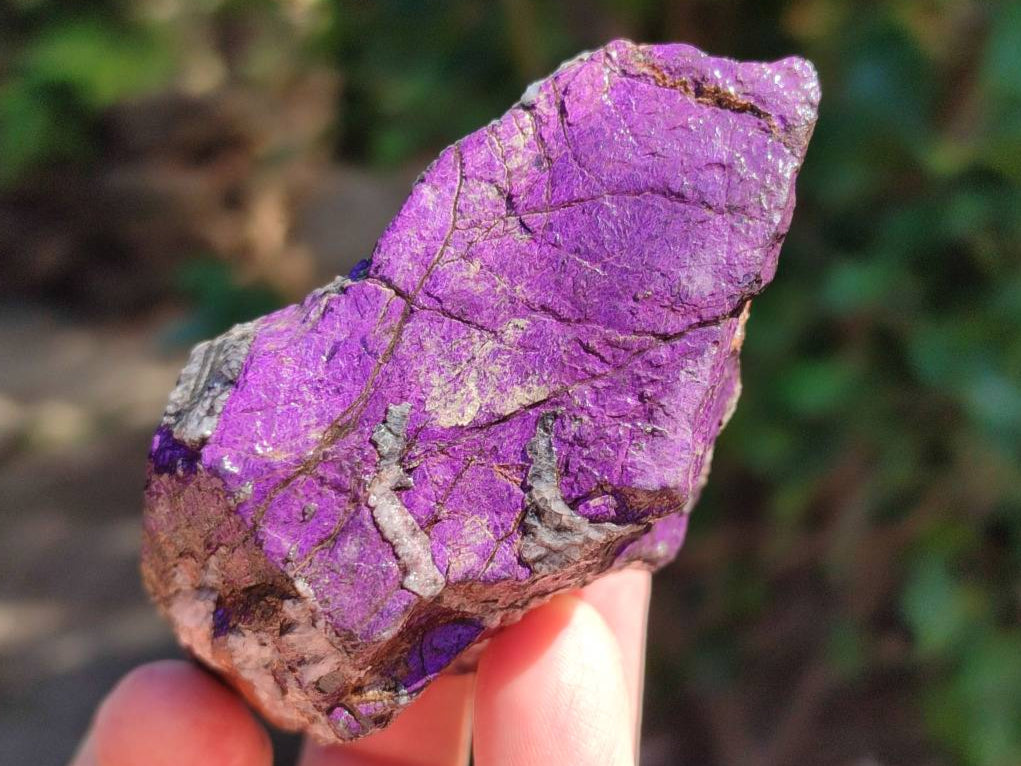 Natural Selected Rough Purpurite Specimens x 12 From Erongo, Namibia - Toprock Gemstones and Minerals 