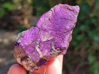 Natural Selected Rough Purpurite Specimens x 12 From Erongo, Namibia