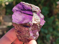 Natural Selected Rough Purpurite Specimens x 12 From Erongo, Namibia