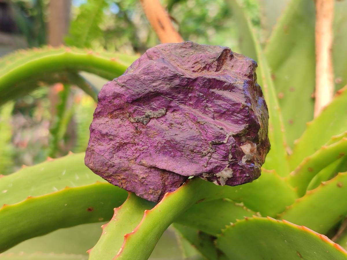 Natural Selected Rough Purpurite Specimens x 12 From Erongo, Namibia - Toprock Gemstones and Minerals 