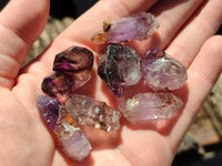 Natural Window Amethyst Crystals x 70 From Chiredzi, Zimbabwe