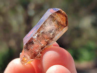 Natural Window Amethyst Crystals x 70 From Chiredzi, Zimbabwe