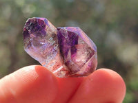 Natural Window Amethyst Crystals x 70 From Chiredzi, Zimbabwe