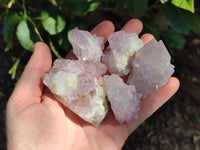 Natural Sunburst Amethyst Spirit Quartz Clusters x 12 From Boekenhouthoek, South Africa
