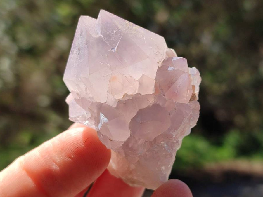 Natural Sunburst Amethyst Spirit Quartz Clusters x 12 From Boekenhouthoek, South Africa - Toprock Gemstones and Minerals 