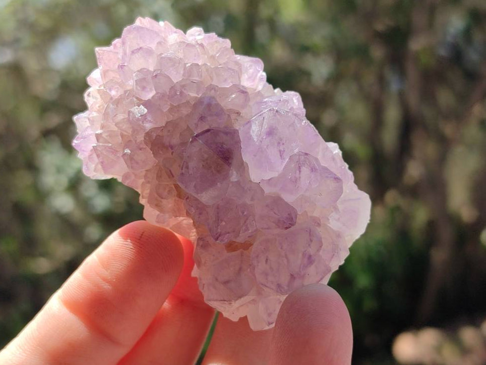 Natural Sunburst Amethyst Spirit Quartz Clusters x 12 From Boekenhouthoek, South Africa - Toprock Gemstones and Minerals 