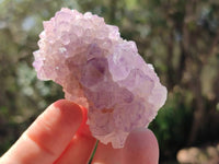 Natural Sunburst Amethyst Spirit Quartz Clusters x 12 From Boekenhouthoek, South Africa