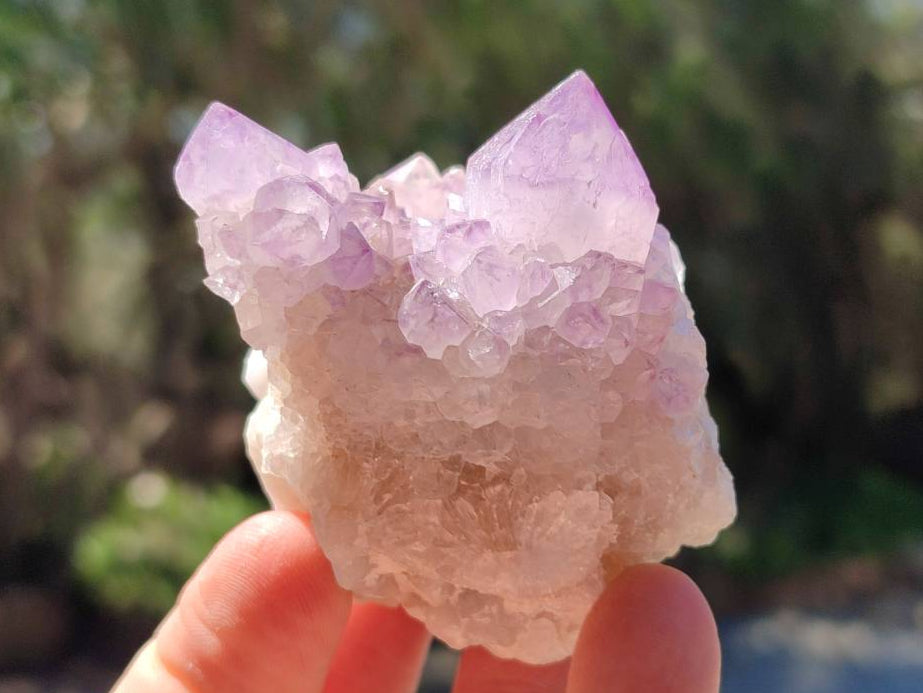Natural Sunburst Amethyst Spirit Quartz Clusters x 12 From Boekenhouthoek, South Africa - Toprock Gemstones and Minerals 
