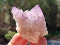 Natural Sunburst Amethyst Spirit Quartz Clusters x 12 From Boekenhouthoek, South Africa
