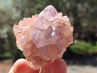 Natural Sunburst Amethyst Spirit Quartz Clusters x 12 From Boekenhouthoek, South Africa