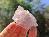 Natural Sunburst Amethyst Spirit Quartz Clusters x 12 From Boekenhouthoek, South Africa