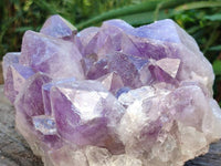Natural Jacaranda Amethyst Quartz Cluster x 1 From Mumbwa, Zambia