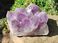 Natural Jacaranda Amethyst Quartz Cluster x 1 From Mumbwa, Zambia