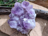 Natural Jacaranda Amethyst Quartz Cluster x 1 From Mumbwa, Zambia